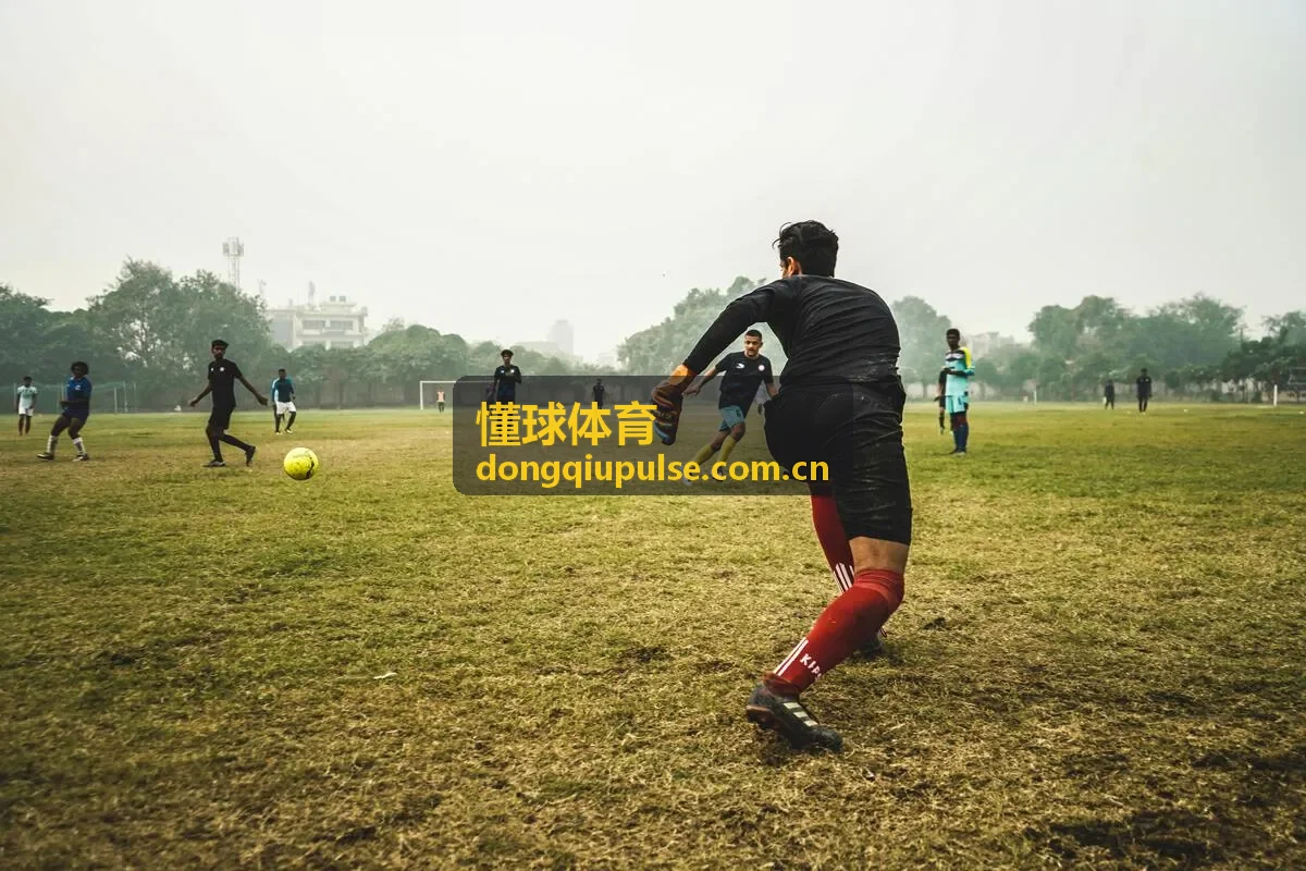 懂球体育球员转会窗口数据观察